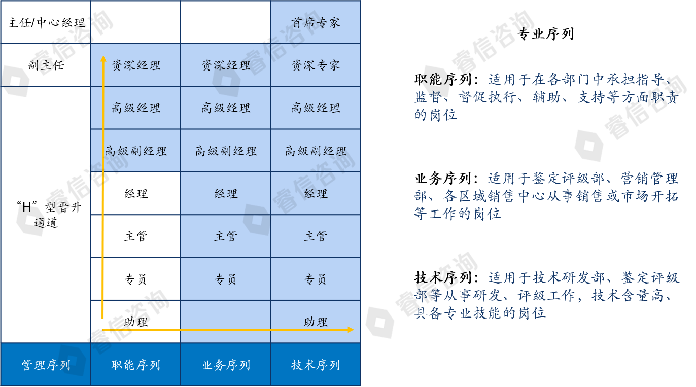 金融投资公司人力资源体系改革咨询项目案例
