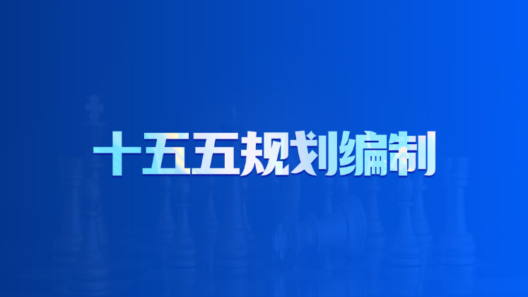 十五五规划咨询