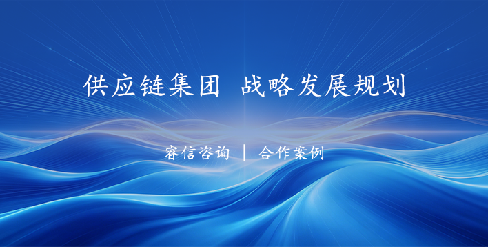 供应链集团近中远期战略发展规划管理咨询项目
